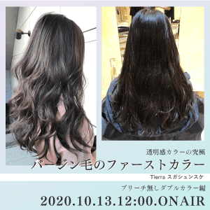 Tierra スガシュンスケ - "透明感カラーの究極" バージン毛のファーストカラー ブリーチ無しダブルカラー編のサムネイル画像