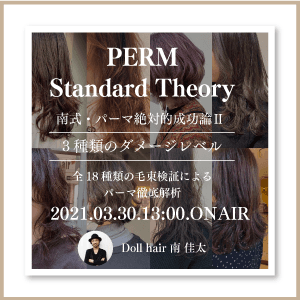 Doll hair 南 佳太  ─【南式・パーマ絶対的成功論 Ⅱ 】3種類のダメージレベル、全18種類の毛束検証によるパーマ徹底解析のサムネイル画像