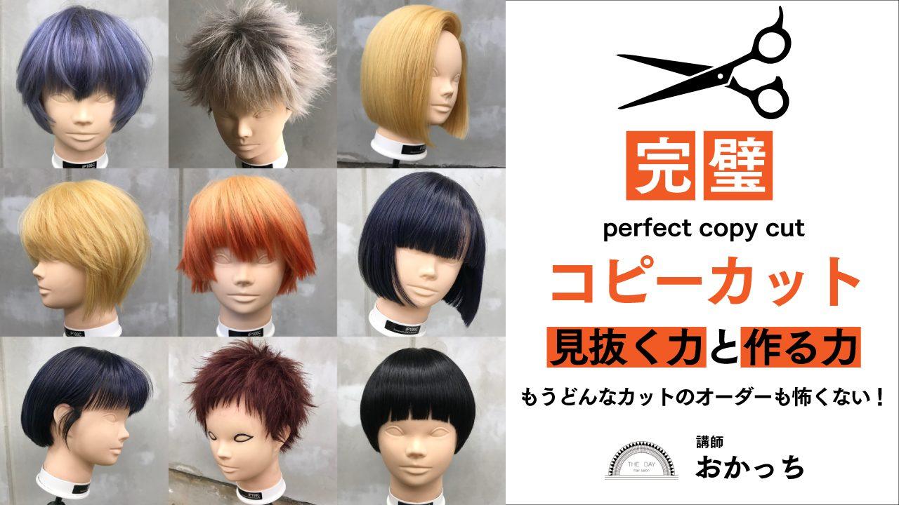 "完璧コピーカット"【見抜く力】と【作る力】 もうどんなカットのオーダーも怖くない！のサムネイル画像