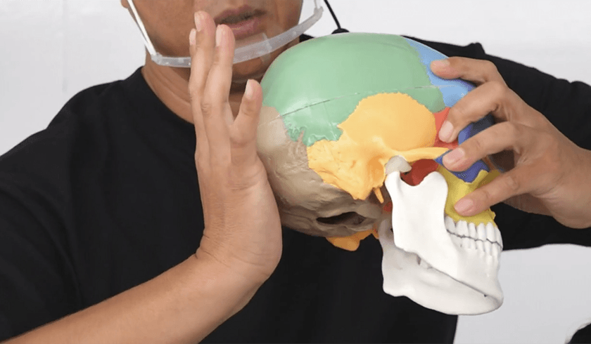 骨と筋肉から読み解く、小顔へのキホン。のサムネイル画像