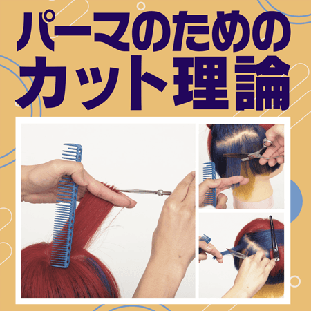パーマのためのカット理論のサムネイル画像