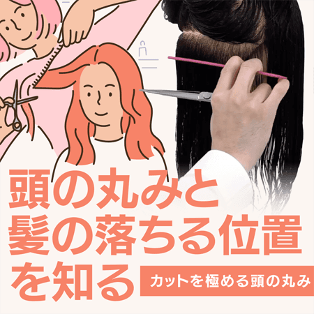 頭の丸みと髪の落ちる位置を知る