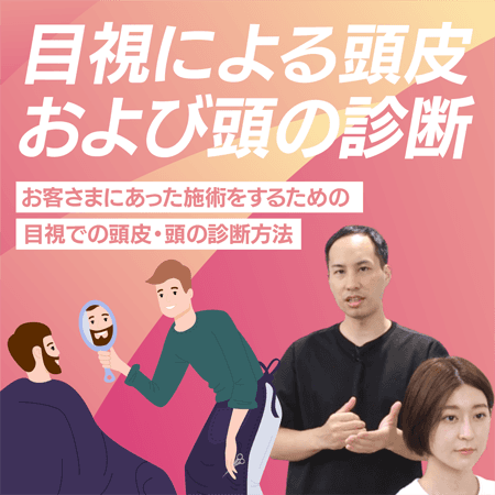 目視による頭皮および頭の診断