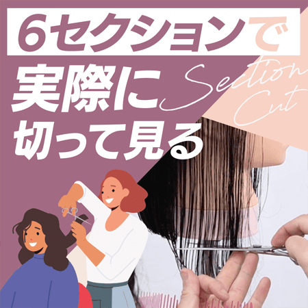 ６セクションで実際に切ってみる