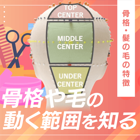 骨格や毛の動く範囲を知る