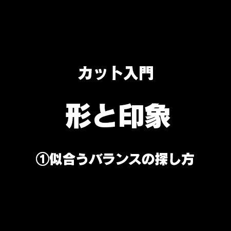 カット入門 形と印象 ─ 似合うバランスの探し方〜A LA CARTE〜