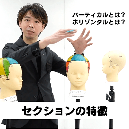セクションの特徴〜A LA CARTE〜