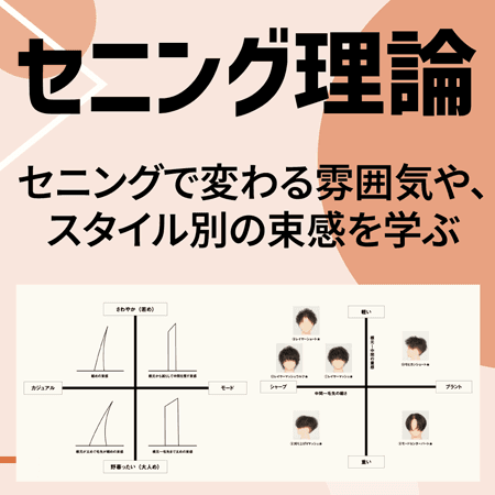 セニング理論のサムネイル画像