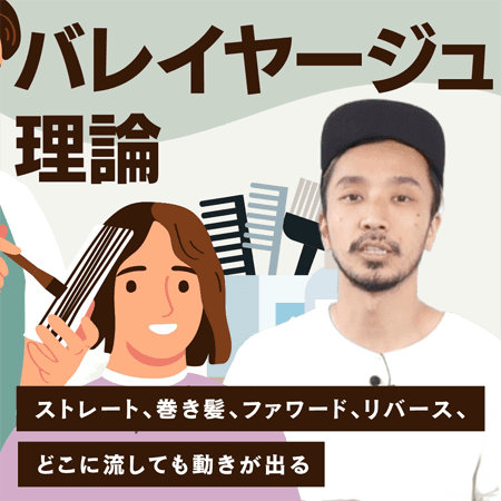 バレイヤージュ理論