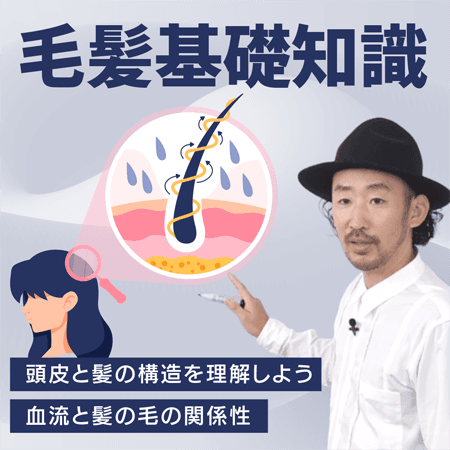 毛髪基礎知識