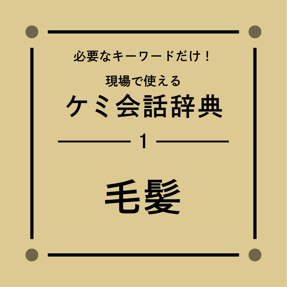 毛髪辞典【毛髪】