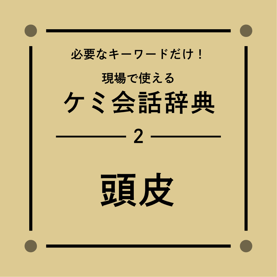 毛髪理論【頭皮】