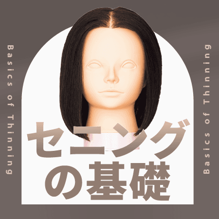 セニングの基礎