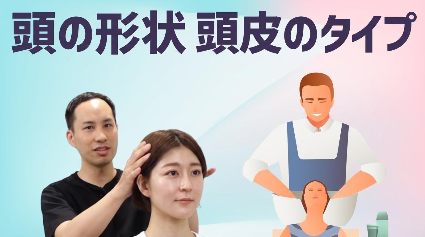 頭の形状 頭皮のタイプの画像