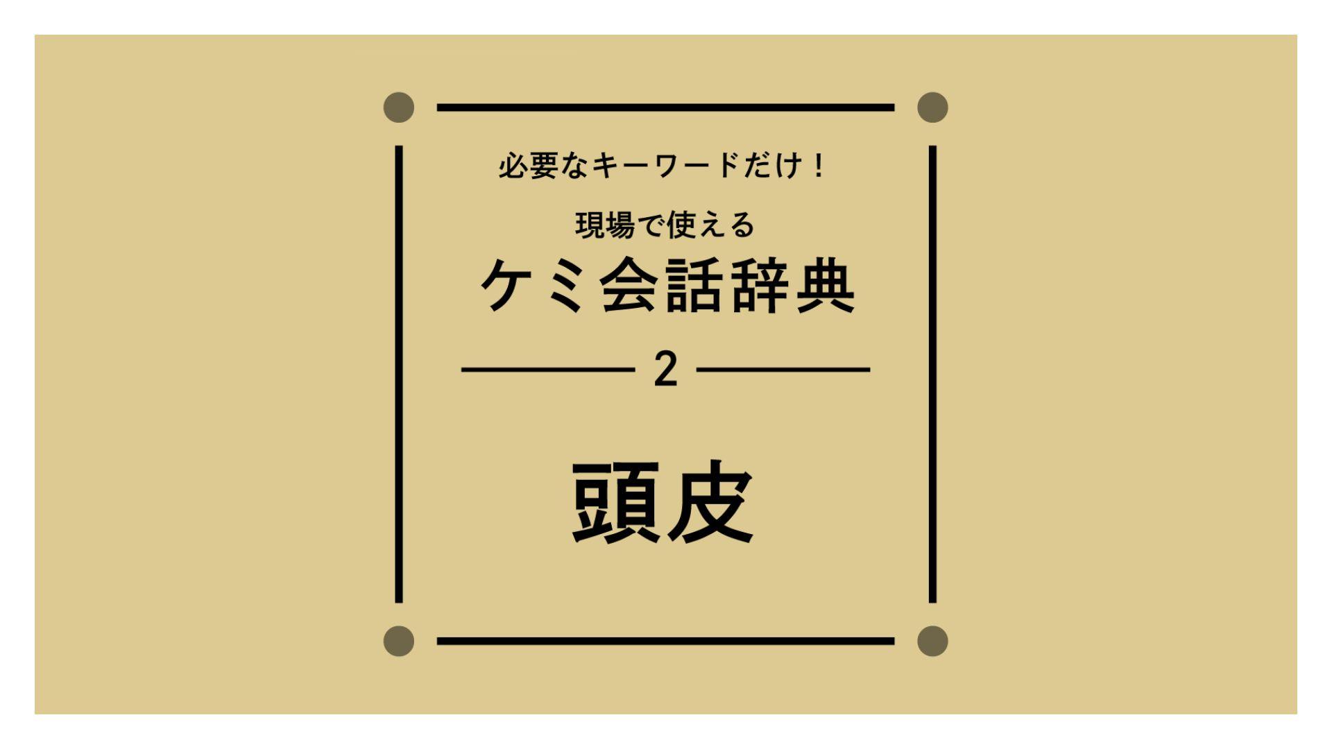 毛髪理論【頭皮】の画像