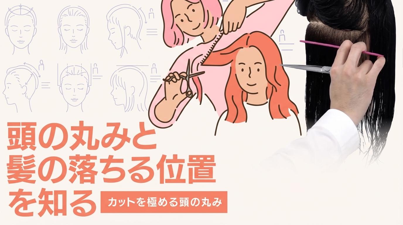 頭の丸みと髪の落ちる位置を知るの画像