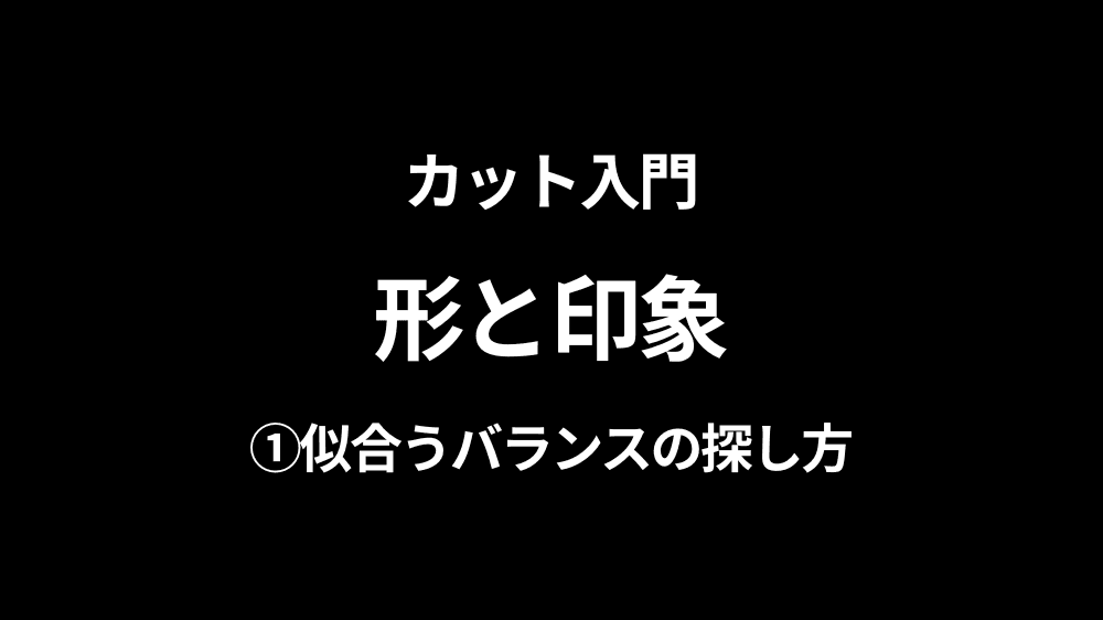 カット入門 形と印象 ─ 似合うバランスの探し方〜A LA CARTE〜の画像