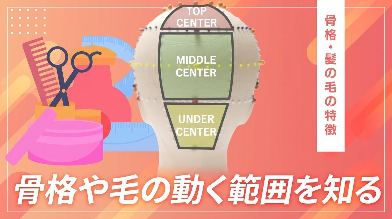 骨格や毛の動く範囲を知るの画像