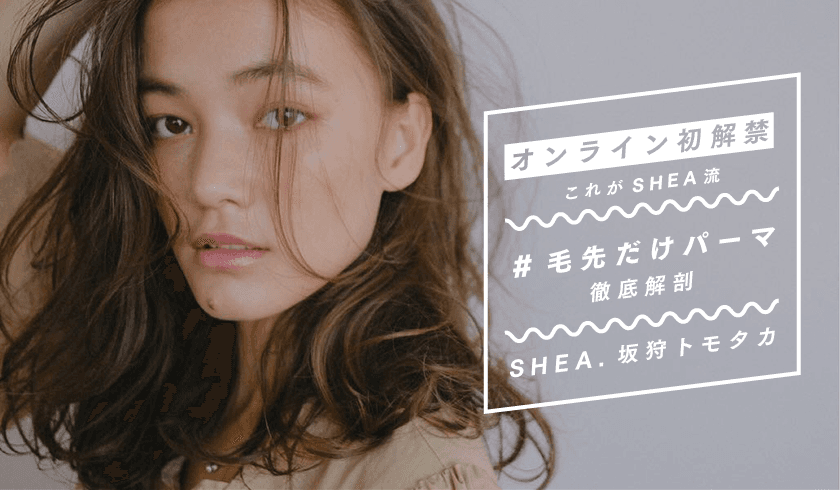 SHEA 坂狩トモタカ - オンライン初解禁 これがSHEA流 #毛先だけパーマ ~徹底解剖~のサムネイル画像