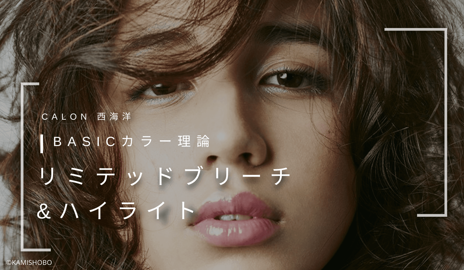 CALON西海 洋 BASICカラー理論 - リミテッドブリーチ&ハイライトのサムネイル画像