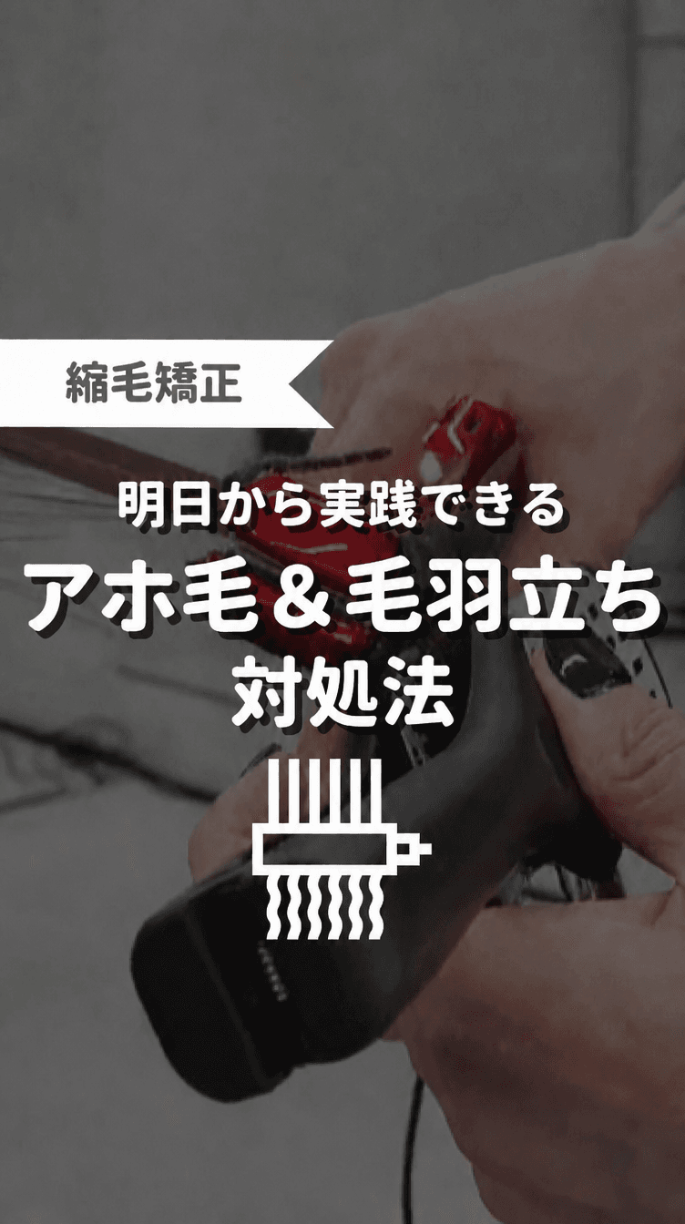明日から実践できるアホ毛＆毛羽立ちの対処法の画像