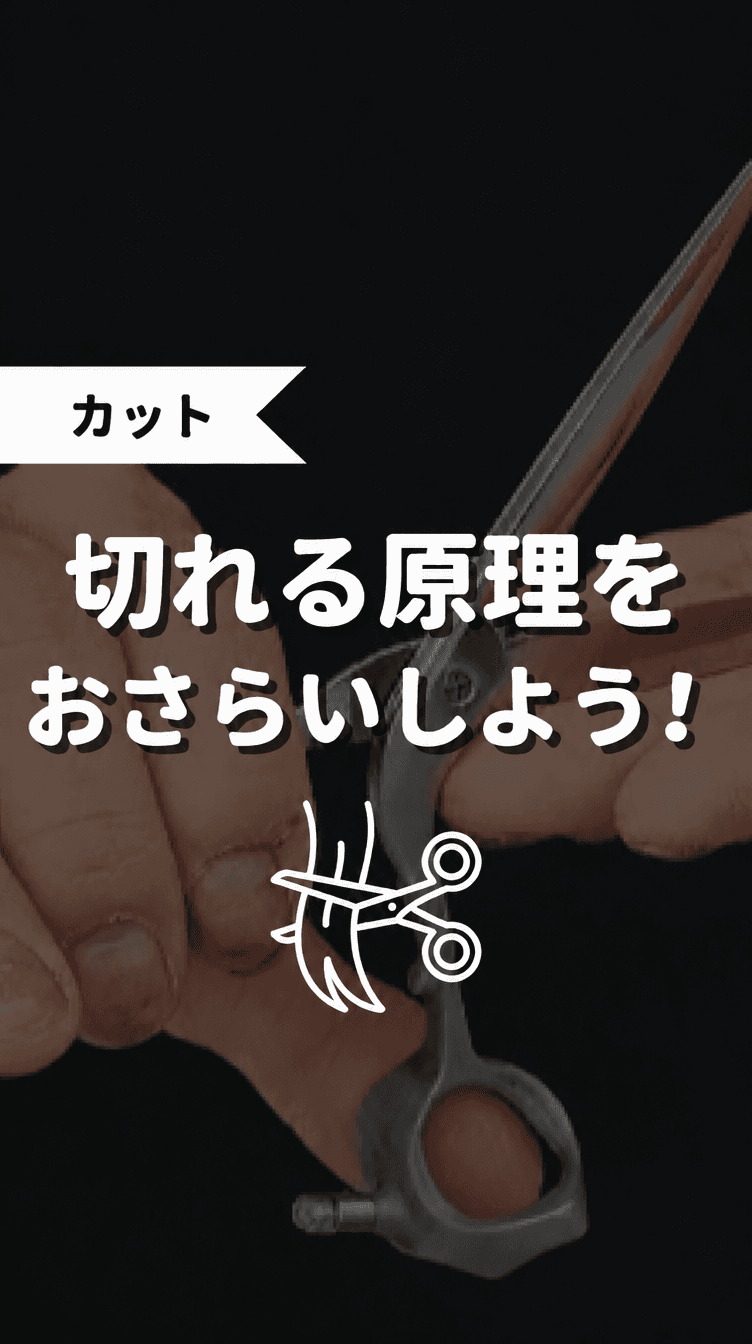 切れる原理をおさらいしよう！の画像