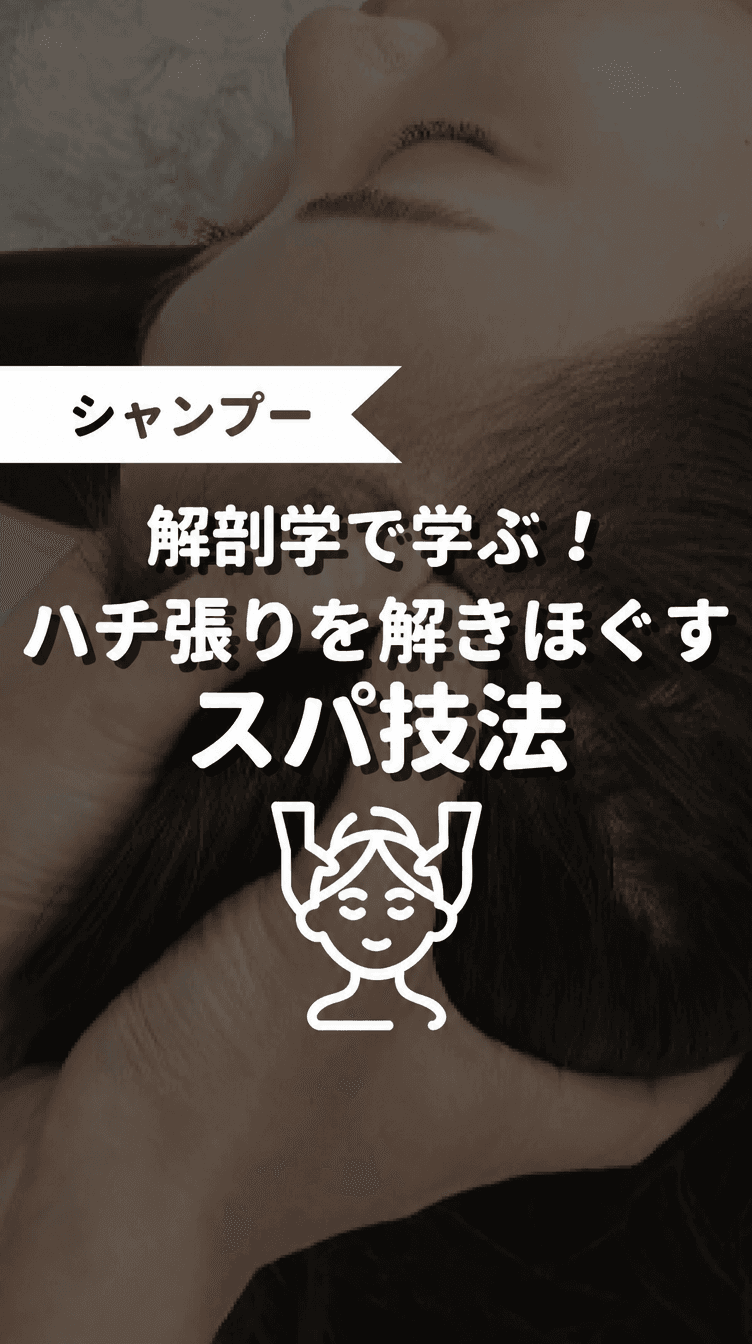 解剖学で学ぶ！ハチ張りを解きほぐすスパ技法の画像
